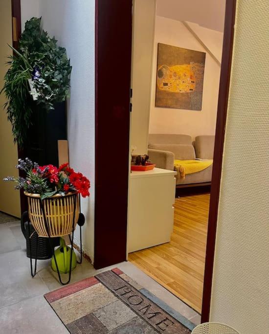 Apartment Near Central Station Zürich Eksteriør bilde